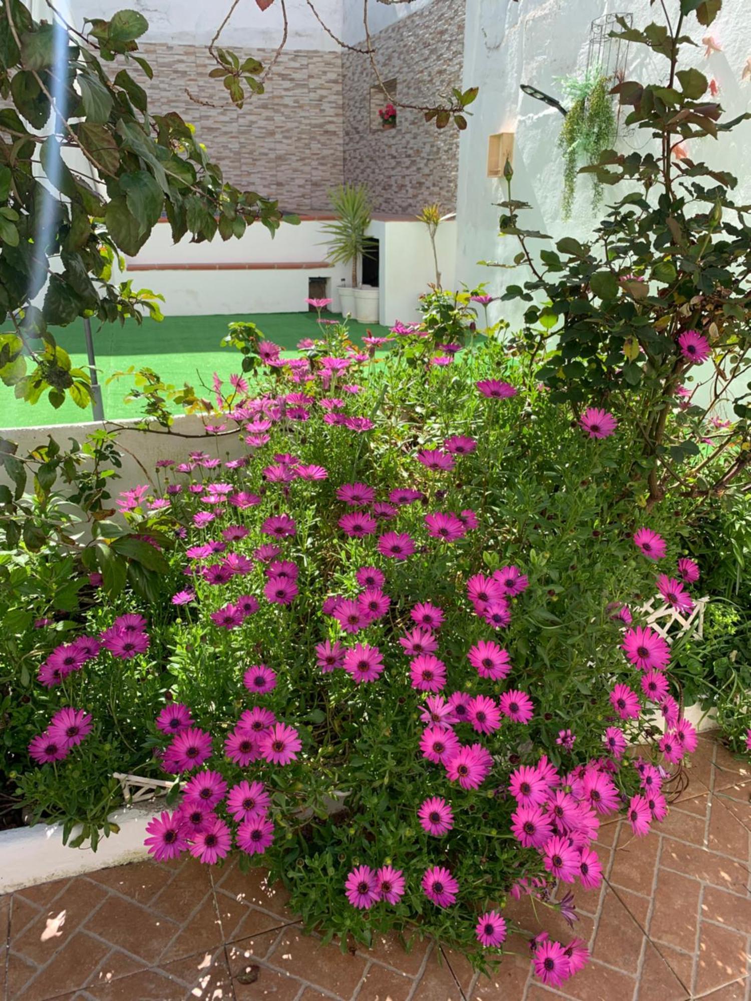 Casa Dos Tios Estremoz-Veiros Villa Exteriör bild